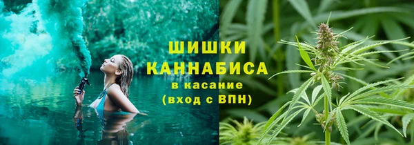 крисы Алексин