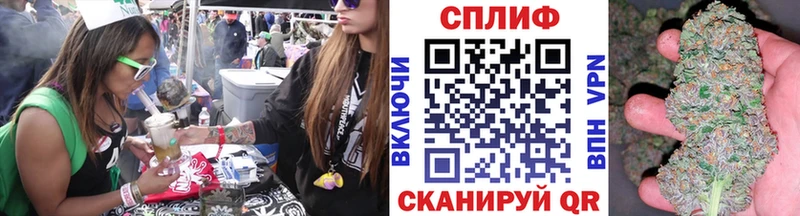 купить наркотик  Магнитогорск  Марихуана гибрид 